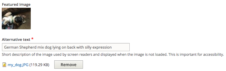 Featured image field in Drupal CMS with required alternative text field underneath