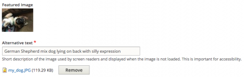 Featured image field in Drupal CMS with required alternative text field underneath