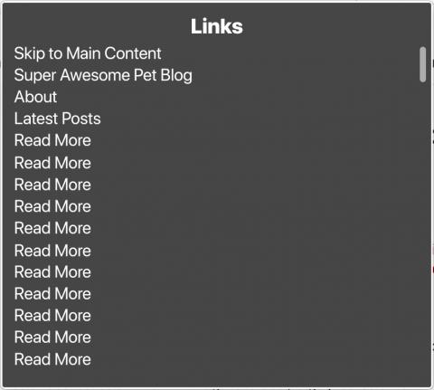 Screen reader links menu with most links listed as "Read More"