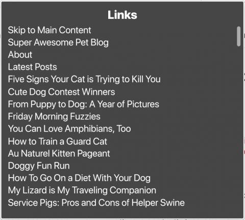 Screen reader links menu with list of concise, unique links