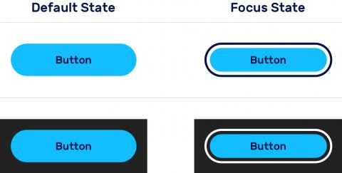 Blue buttons showing default and focus states on both light and dark backgrounds